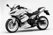 KawasakiI Ninja 500 Fairings (2024-2025) White, Black Brush Stripes at KingsMotorcycleFairings.com
