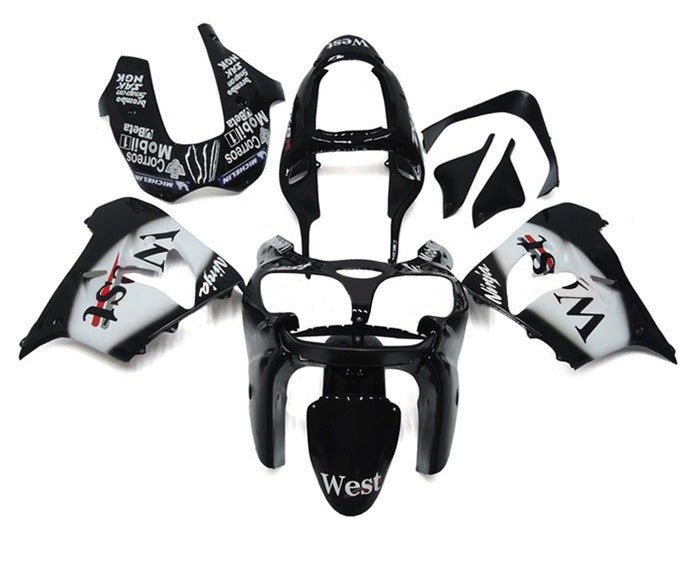 Kawasaki ZX-9R Fairings (2002-2003) Black, White, West at KingsMotorcycleFairings.com